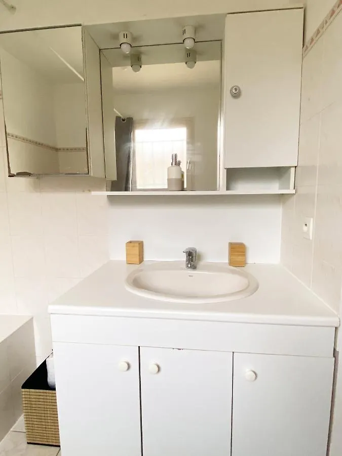 Villa Avec Jardin 600M² Netflix Proche Toulouse Colomiers